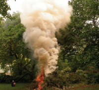 Photo d'un feu de végétaux dans un jardin